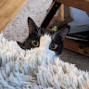 Meet your Posher, Sherry